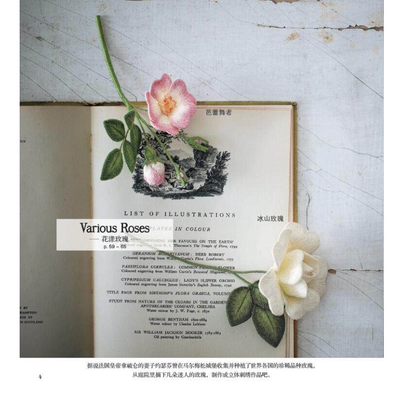 3D Stumpwork Embroidery Book:  - Embroidery World 评论和价格