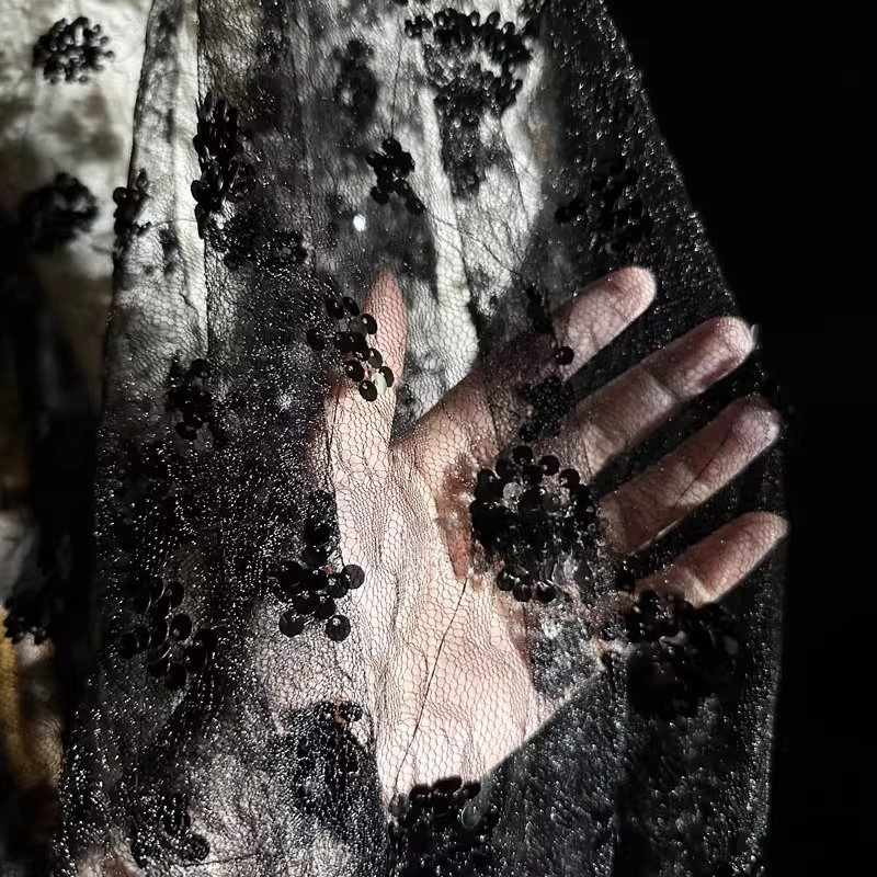 Lace Flower Embroidery Sequine - Embroidery Net Fabric 评论和价格