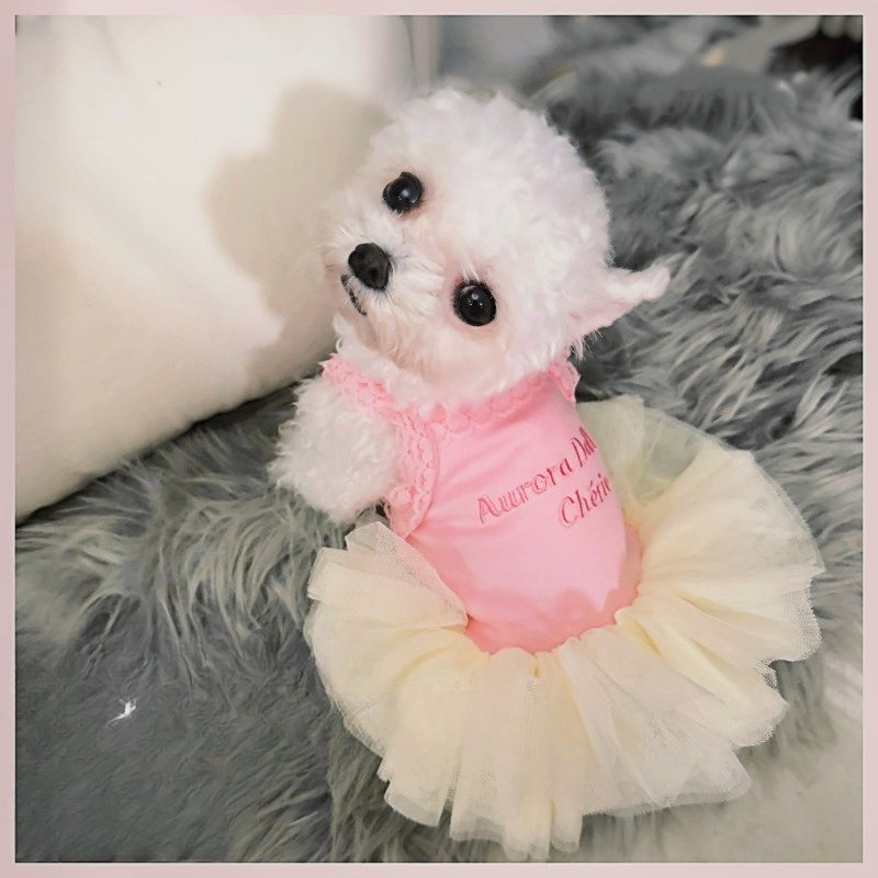 Pink Lace Strap Pet Princess T - Embroidery Cream 评论和价格